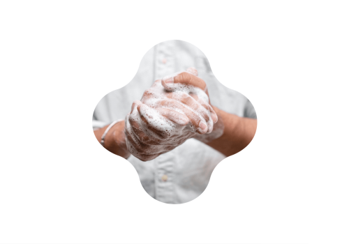 Identidade Visual – Avoid Germs